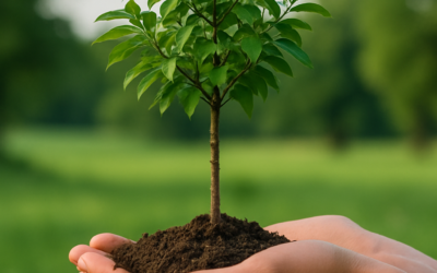 Helping Others Builds Stronger Roots—In Business and in Life