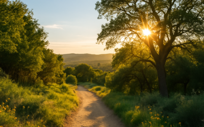 The Rise of “Workationing” in Colorado’s Western Slope